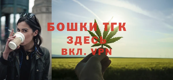mix Богородск