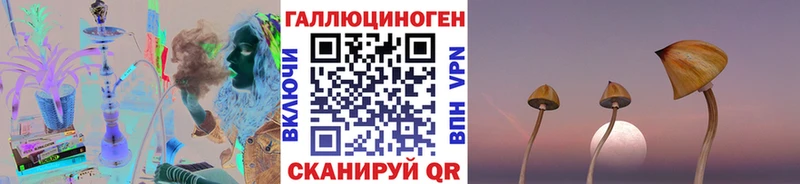 Галлюциногенные грибы Magic Shrooms  ОМГ ОМГ вход  Теберда 